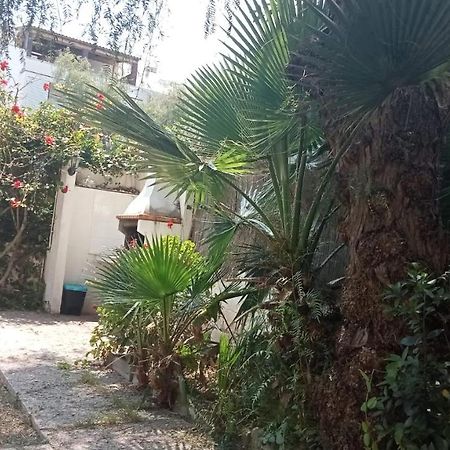 Apartamento - Jardin En Playa San Sebastian Sitges Ngoại thất bức ảnh
