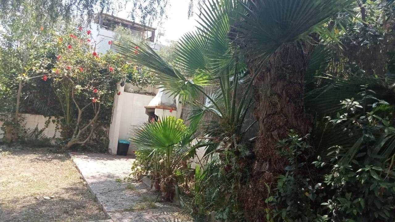 Apartamento - Jardin En Playa San Sebastian Sitges Ngoại thất bức ảnh